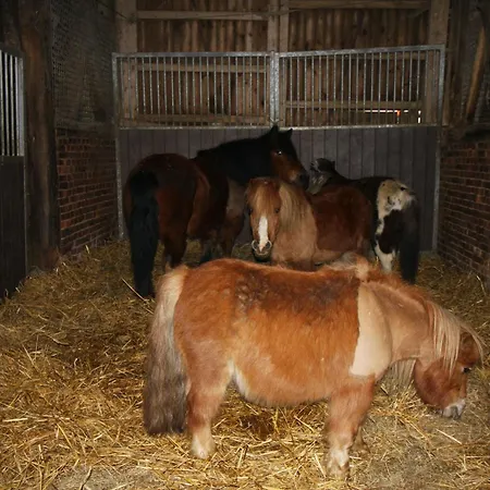 Tatil Evi Ecuries Val De Mai 35 Pers 5 15 Min Amiens Talmas