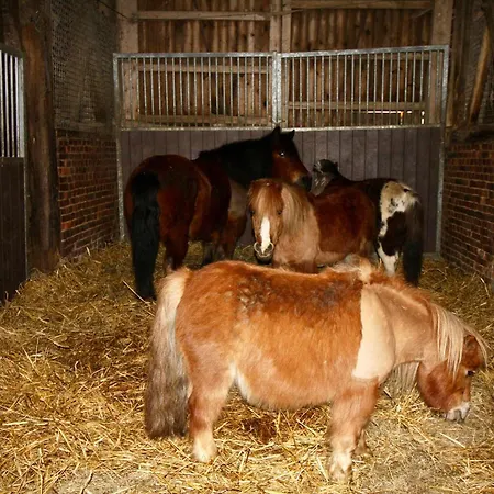 La Clef Decamp Ecuries Val De Mai 35 Pers 5 15 Min Amiens * Talmas